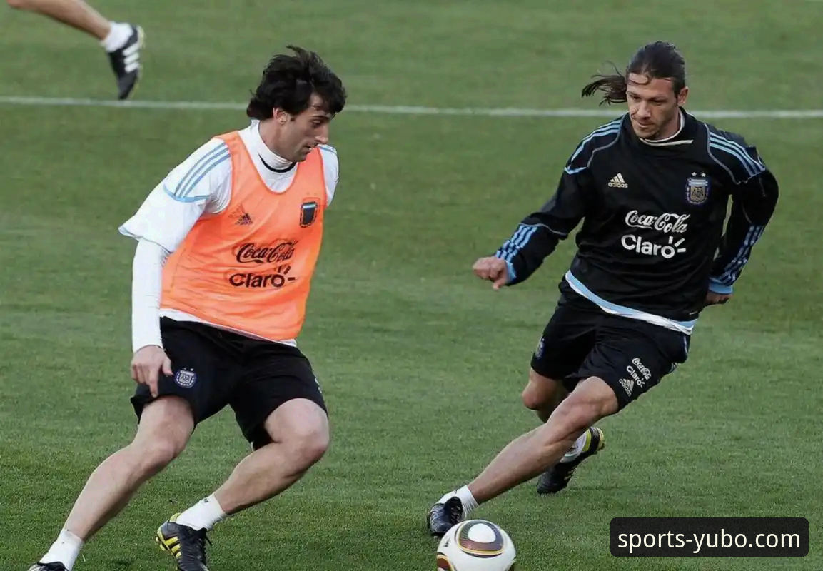 阿根廷世界杯前景分析完整指南:从帕尼切利重伤看战术变数与信息获取